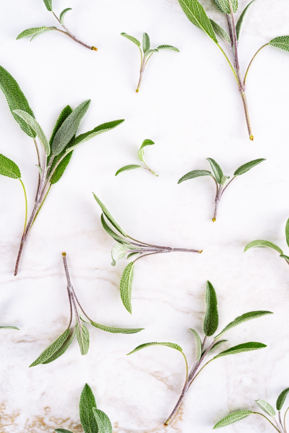Personal Growth